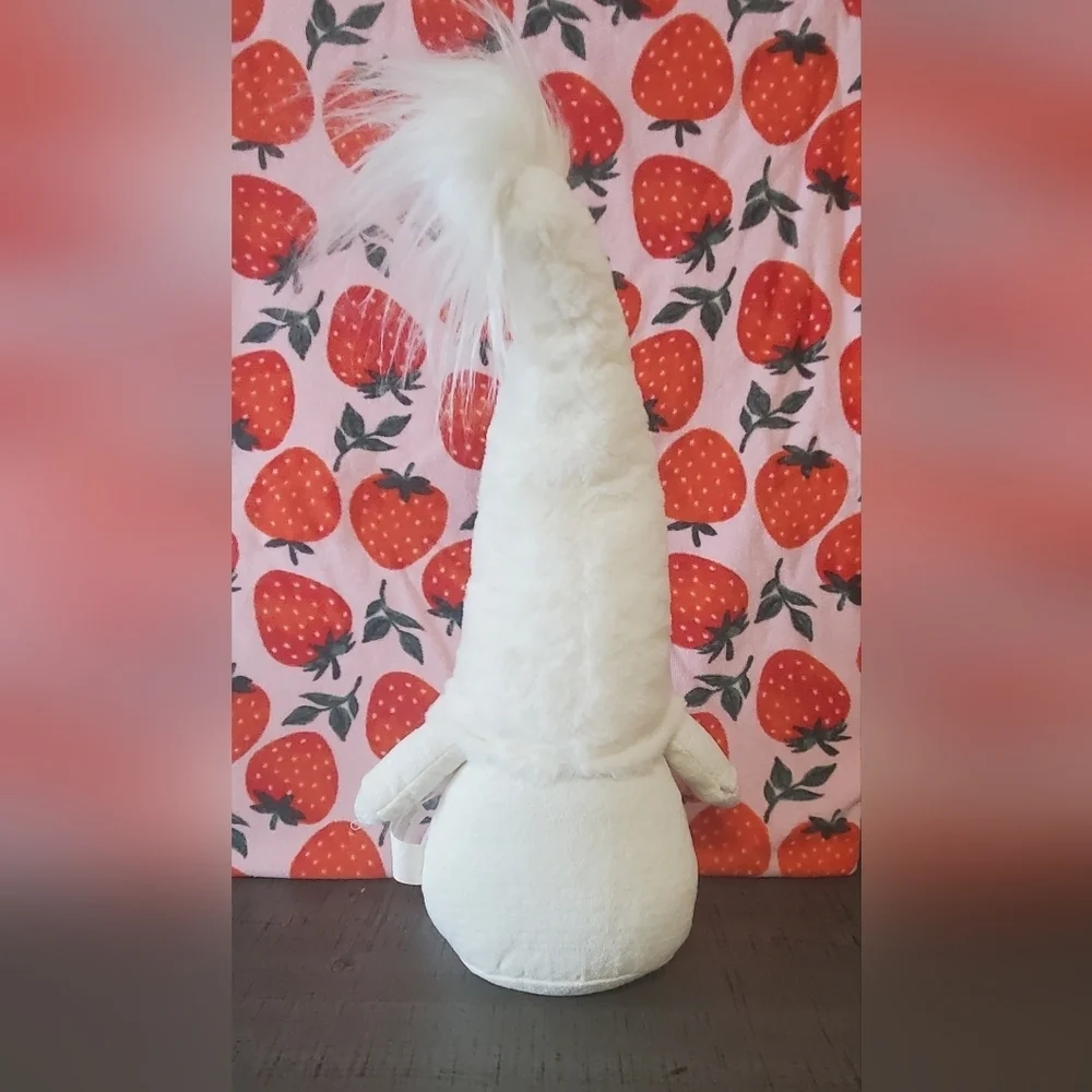 Gnome For The Holidays